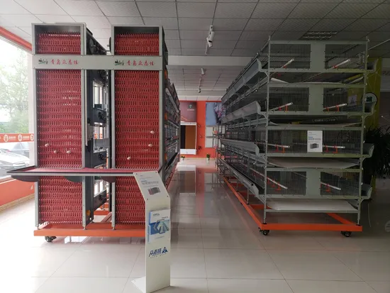 Professional Manufacture Modern Design Completely Automatic Poultry Farm Equipment H Type Battery Hen Egg Chicken Layer Cage