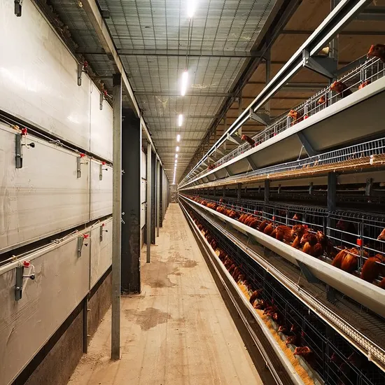 Sell Kenya 4-8 Layer Galvanized Stainless Steel Poultry Farm Egg Layer Chicken Coop