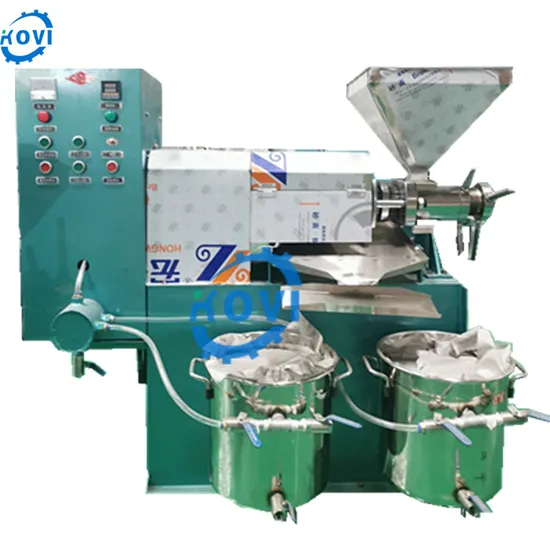 Stainless Steel 150kg/H Large Commercial Oil Extraction Machine Screw Palm Oil Press Machine