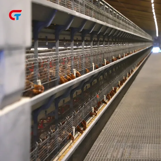 Battery Automatic Factory Made 2024 New Design Poultry Farm Layer Cage
