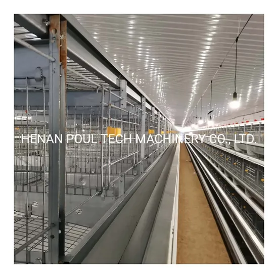 3 Layers Poultry Cages /Chicken Cage /Layer Cage Hot Galvanized 20 Years Battery Cage with Auto Water System