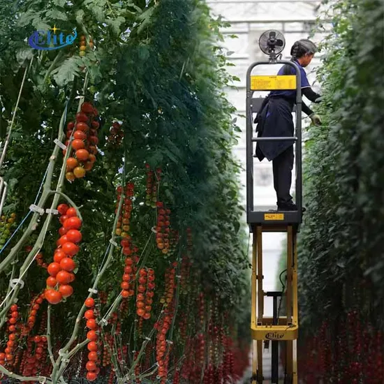 Elite Scissor Lift Fruit Vegetable Lift Greenhouse Pipe Rail Trolleys for Picking