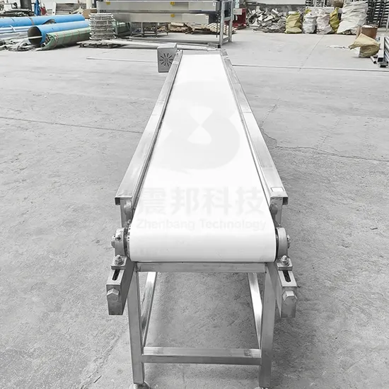 Halal Chicken Slaughter Muslim Slaughterhouse Carcass Transfer Conveyor Meat Production Conveyor