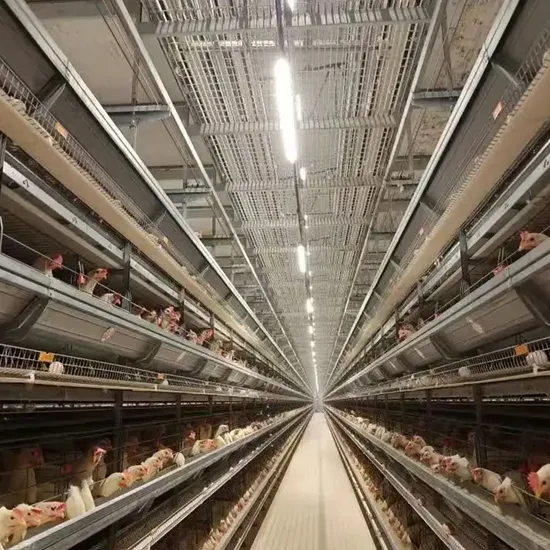Inexpensive Automatic Galvanized Poultry Farm Battery Chicken Farm Layer Chicken Egg Cage