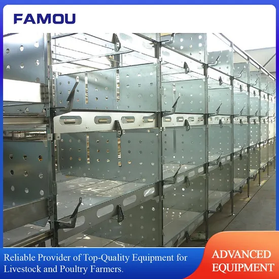 Chiken Cage System for Brood/Chick/Pullet Rearing