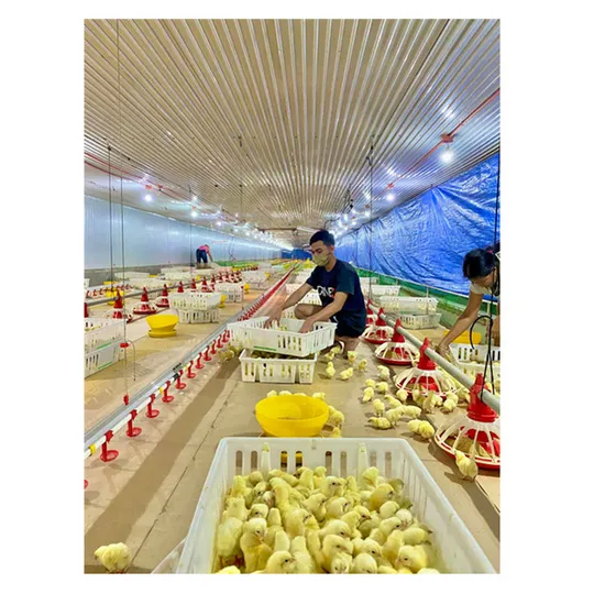 Poultry Farming Galvanized House Farm Equipment Suppliers Automatic Poultry Chicken Products Pan Feeders for Broiler and Breeder