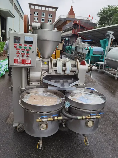 10 (95) Wz Best Selling Product Fully Automatic Peanut Soybean Oil Press