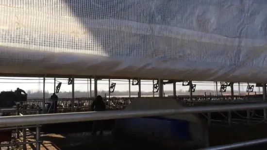 Transparent Dairy Farm Livestock Machinery Agricultural Machinery Rolling Curtain PE Fabric