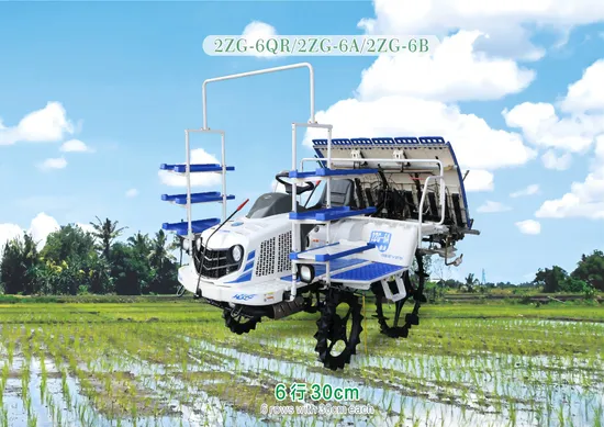 Best rice planting machine price Nice looking Gasoline engine for sale 630 high-speed Rice transplanter 2ZG-6QR (Gasoline)