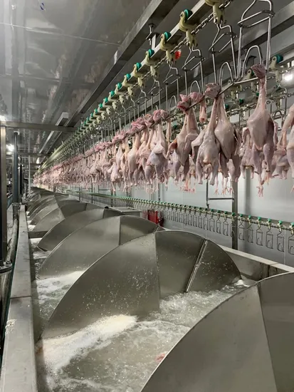 Chicken Spiral Cooling Tank in a Slaughter Machine Line