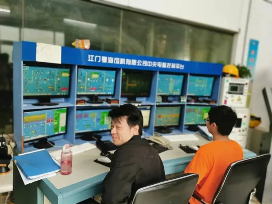 Automatic Feed Electric Computer Control System Machine Apply in Feed, Flour, Rice Industry