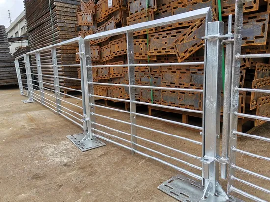 Factory Direct Hot DIP Zinc Process Poultry Breeding Equipment Pig Fattening Pen