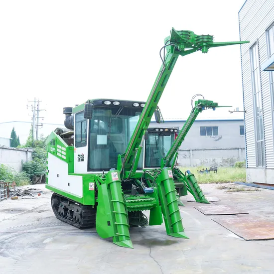 Small Growers Use Diesel Fuel to Drive Continuously Variable Speed Whole Stem Cutting Sugarcane Harvester Machine