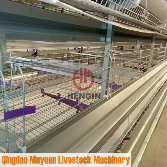 Automatic Hot-Galvanized Multi-Tier H-Frame Battery Poultry Farming Equipment for Chicken Layer Cage