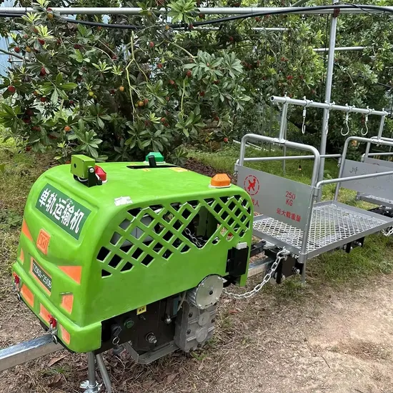 Farm Gasoline Machine Self Walking Monorail Conveyor Track Orchard Bayberry Carrier