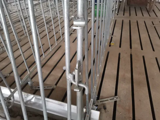 Poultry Equipment / Single Pen / for Sows