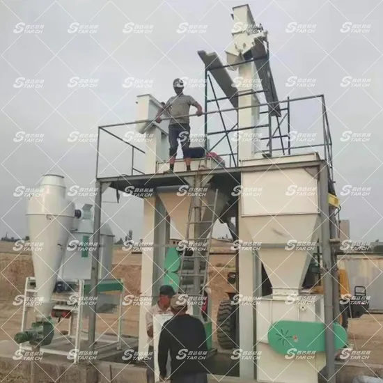 Top Fashion Animal Production Line Pellet Machine Factory Plant Feed Making Machine