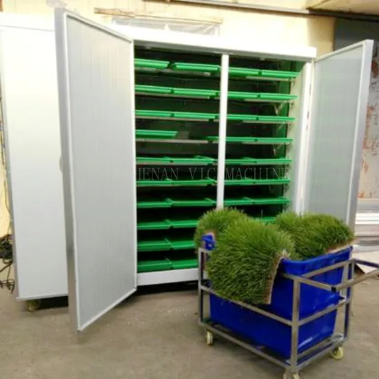 Advanced Hydroponic Garlic Growing Solution for Eco-Conscious Farmers