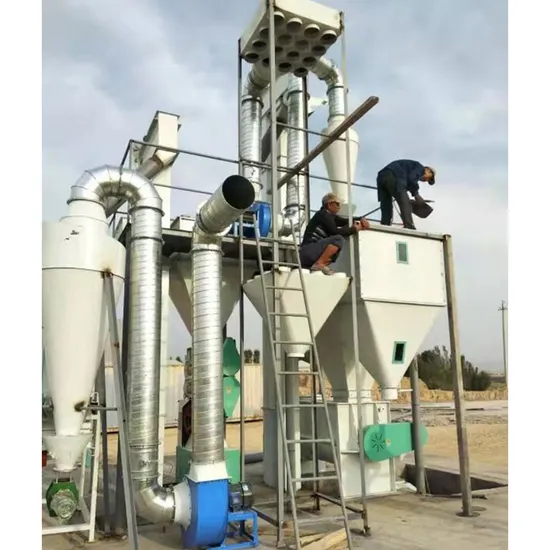 Lowest Price of 2t/H Pellet Making Machines for Animal Feed in Africa Market