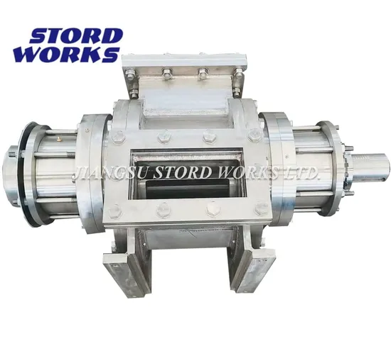 Stordworks High Quality Raw Material Vane Pump Hot Selling Lamella Pump with Good Performance