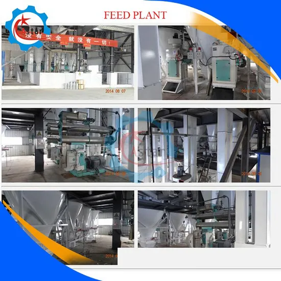 China Manufacture Cattle Feed Production Line