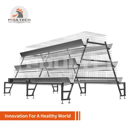 Professional Automatic Poultry Farm Equipment Chicken Cage for Layer
