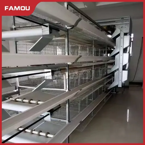 Famou Poultry Farm Egg Equipment Waterproof H Type Full Automatic Feeding System