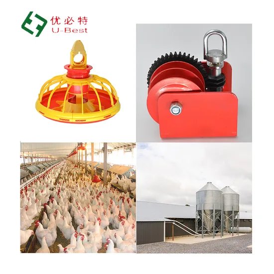 Indonesia Practical Broiler Floor Rearing Chicken Poultry Farm Equipment