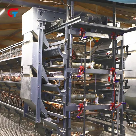 6 Tiers H Type Full Automatic Brooder Chicken Cages