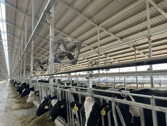 Barn Equipment High Volume Air Cooling High Speed Ventilation Fan Exhaust Fan