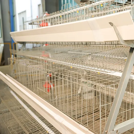 China Sells Livestock Automated Poultry Farm Egg Hatching Type a Layer Chicken Cage Poultry Equipment