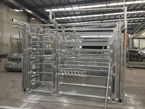Australia Standard Powder Coated Heavy Duty Vet Cattle Yard Crush