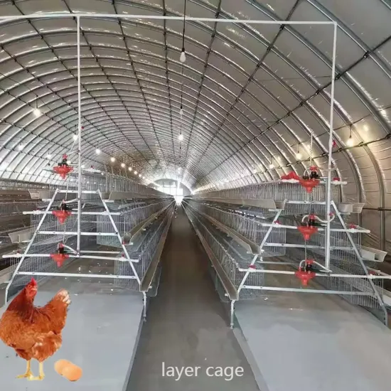 Cheap 4 Tiers 5 Doors 160 Capacity Chicken Layer Cage Price Used for Poultry House