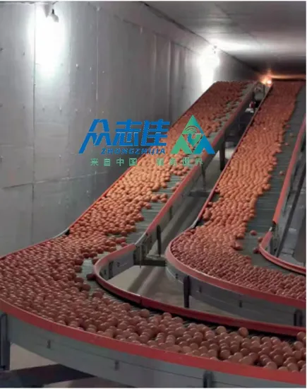 Layer Bird Chicken Cage Wire Mesh Welded Making Machine for Poultry Cage