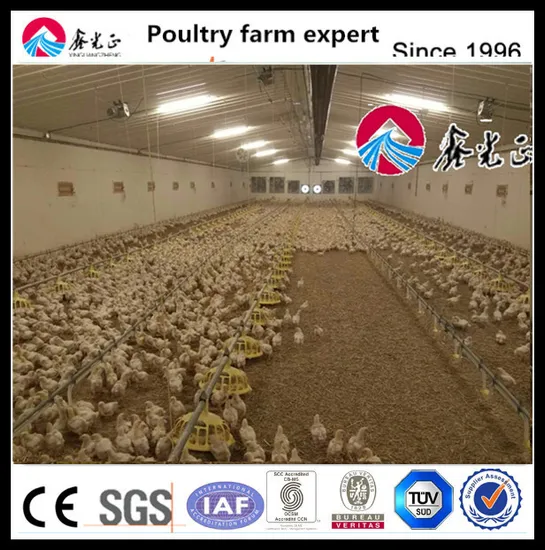 Automatic Broiler Poultry Farm Equipment with Ce Certificate
