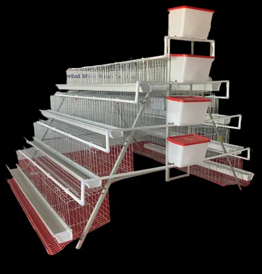 Chicken Cage Factory Manufacturing a Frame Automatic Broiler Cages Free Sample Quick Clean Disinfect Features Best Rated Chicken Coop