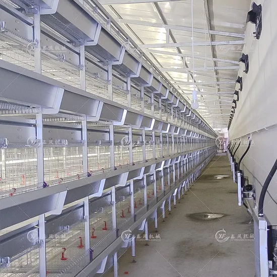Hightop H Type Poultry Farm Pullet Battery Chicken Cages