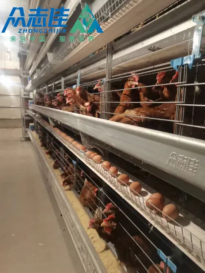 Automatic Ventilation Chicken Cage Multi Tiers H Type Galvanized20, 000 Birds Poultry Farming Equipment Battery Broiler Brood Layer Chicken Cage