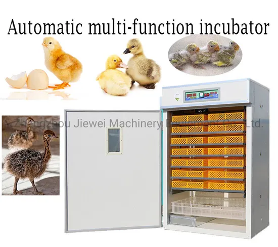 Automatic Goose/ Quail /Duck/ Chicken Eggs Incubator Egg Hatching Machine, Chicken Egg Incubator Hatching Machine Incubator Machine
