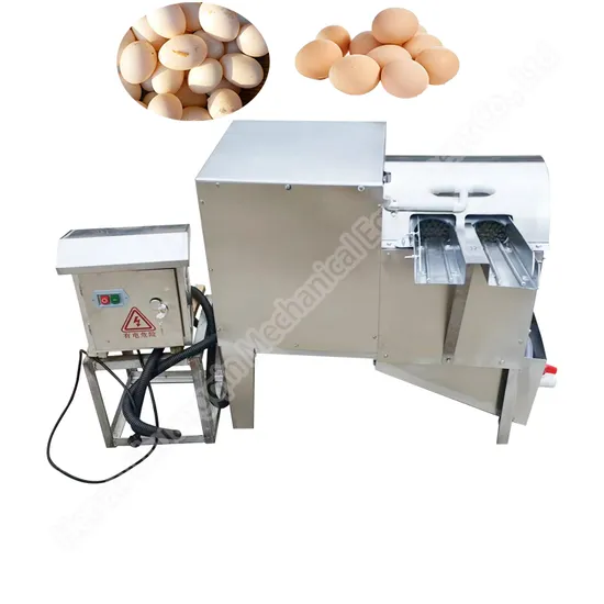 Egg Washing and Sorting Machine Egg Washer and Grader Chicken Egg Washing Machine Egg Washer Machine Egg Cleaning Machine Egg Washing Machine