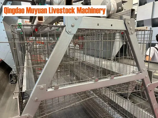 a Type Chicken Layer Cage/Coop for Africa Poultry Farm