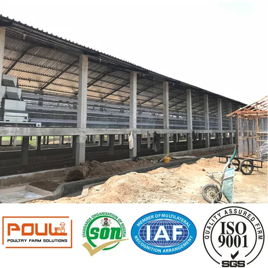 Poultry Cage for Layer Broiler Pullet Farm