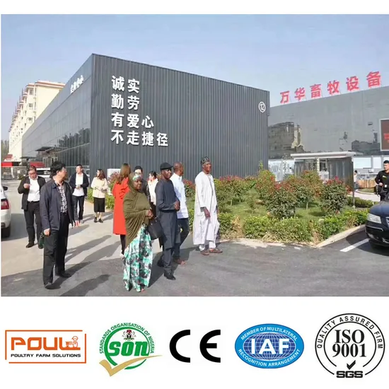 Automatic Poultry Farm Facility Layer Cage