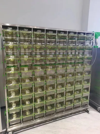 Animal Laboratory Ivc SPF Mouse Cages Individually for Animal Experiments Animal Research Ventilated Cage Equipment