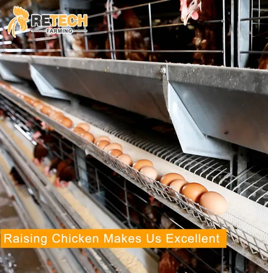 Poultry Farm Equipment Automatic Chicken Layer Battery Cage for Sale