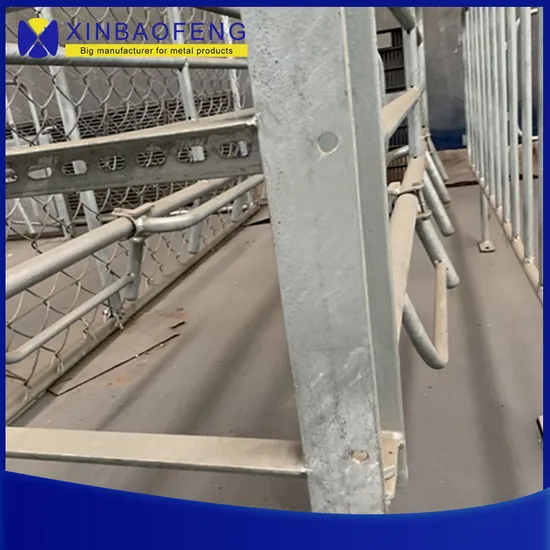 Factory Direct Sales Piglet Crate Sow Farrowing Pen Supplier