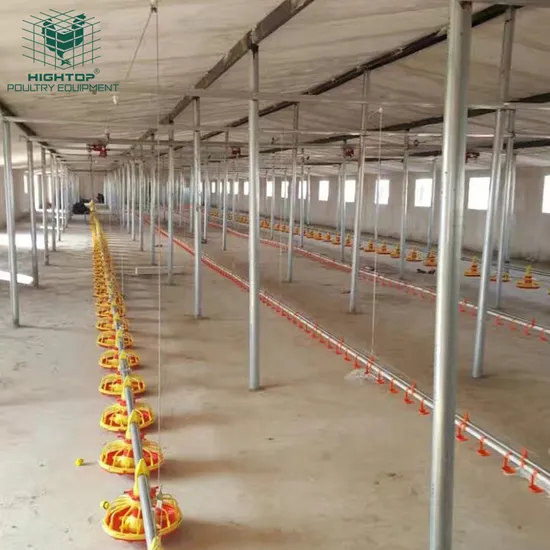 2023  Hot Sale Most Economic Automatic Pan Feeding System For Big Scale Broiler Farm