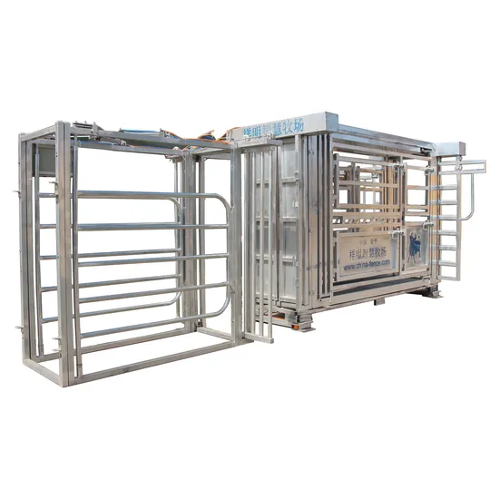 Premium Heavy Duty Galvanized Air Operated Auto Cattle Crush (XMM-CC)