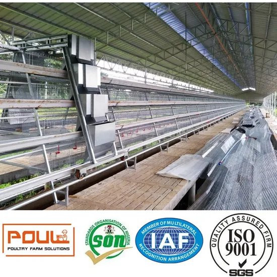 Hot Glavanized Layer Chicken Farm Cage