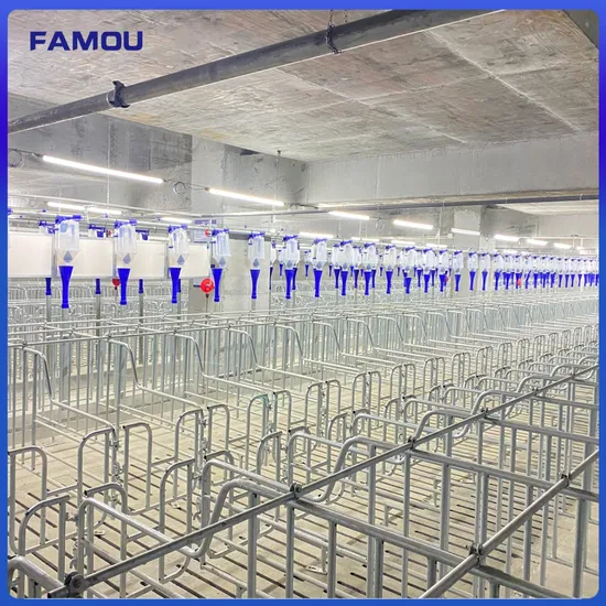 Innovative Modern Automated State-of-The-Art Pig Pen for Modern Farms